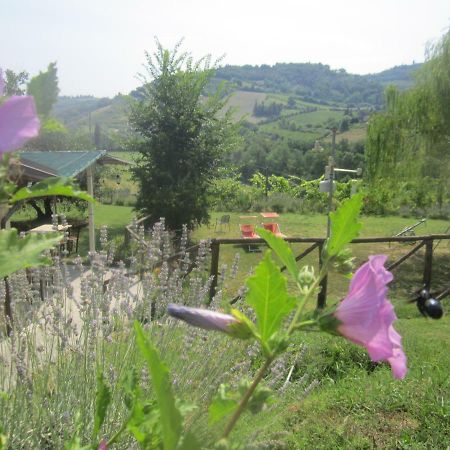 Le Spighe Agriturismo เชซานา ภายนอก รูปภาพ