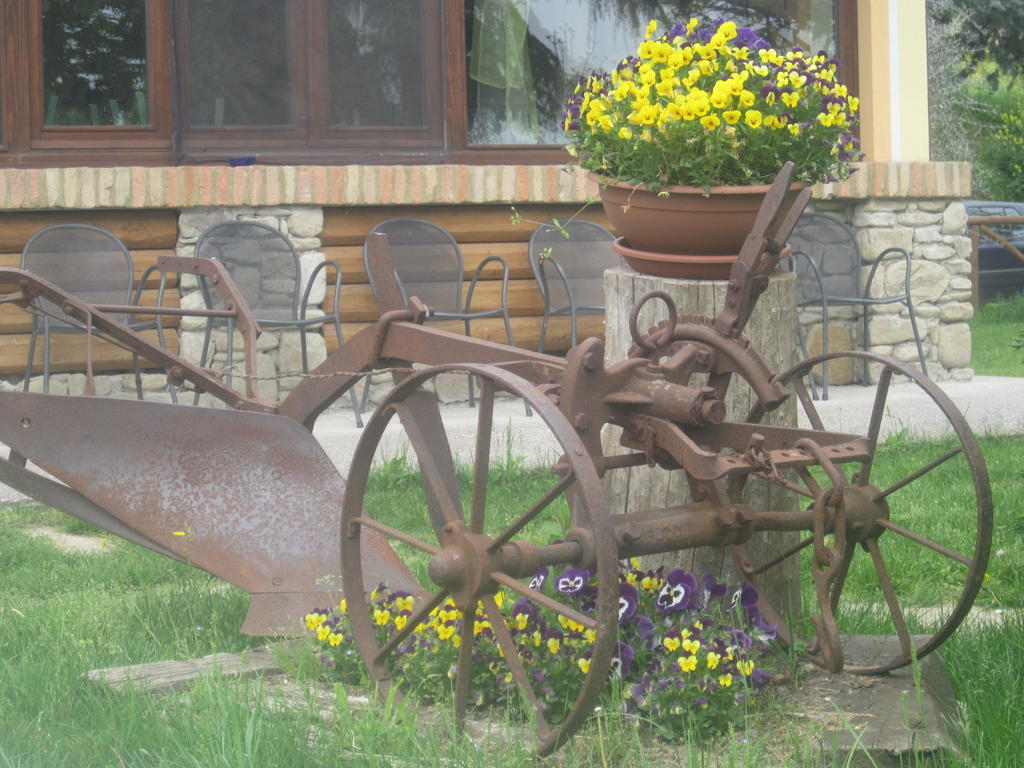 Le Spighe Agriturismo เชซานา ภายนอก รูปภาพ