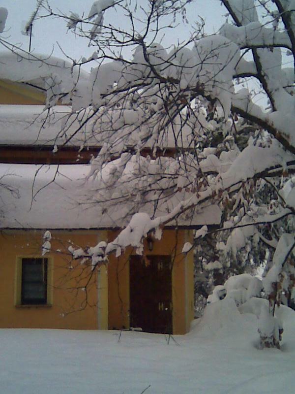 Le Spighe Agriturismo เชซานา ภายนอก รูปภาพ
