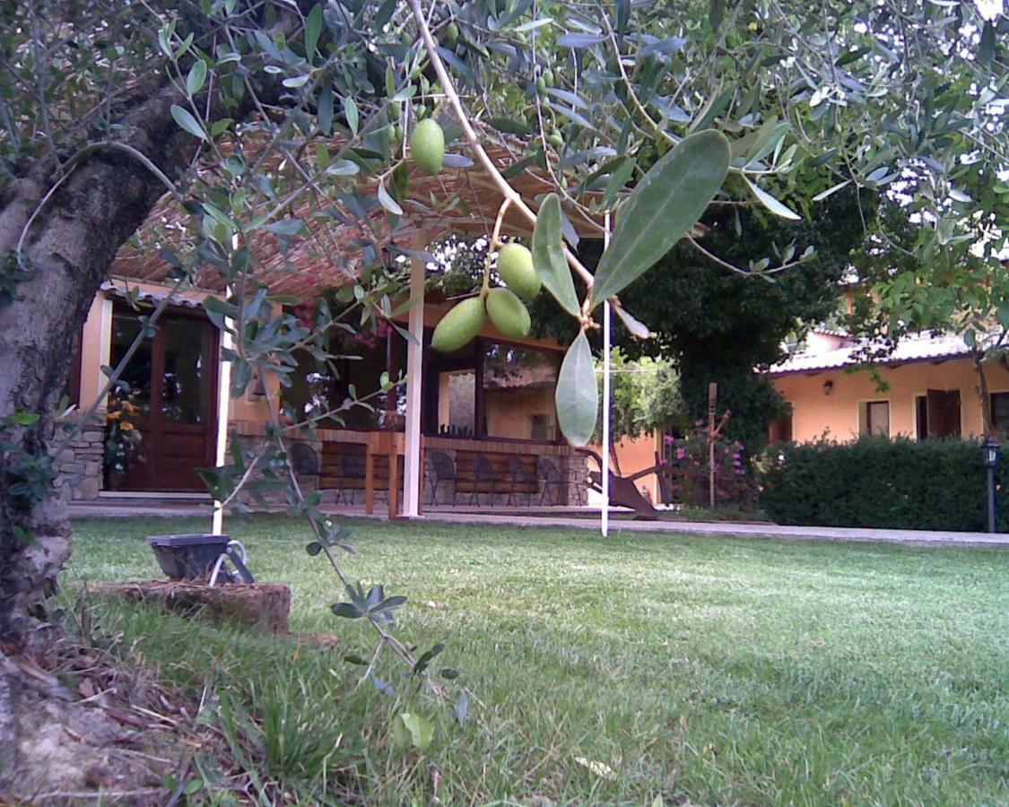 Le Spighe Agriturismo เชซานา ภายนอก รูปภาพ