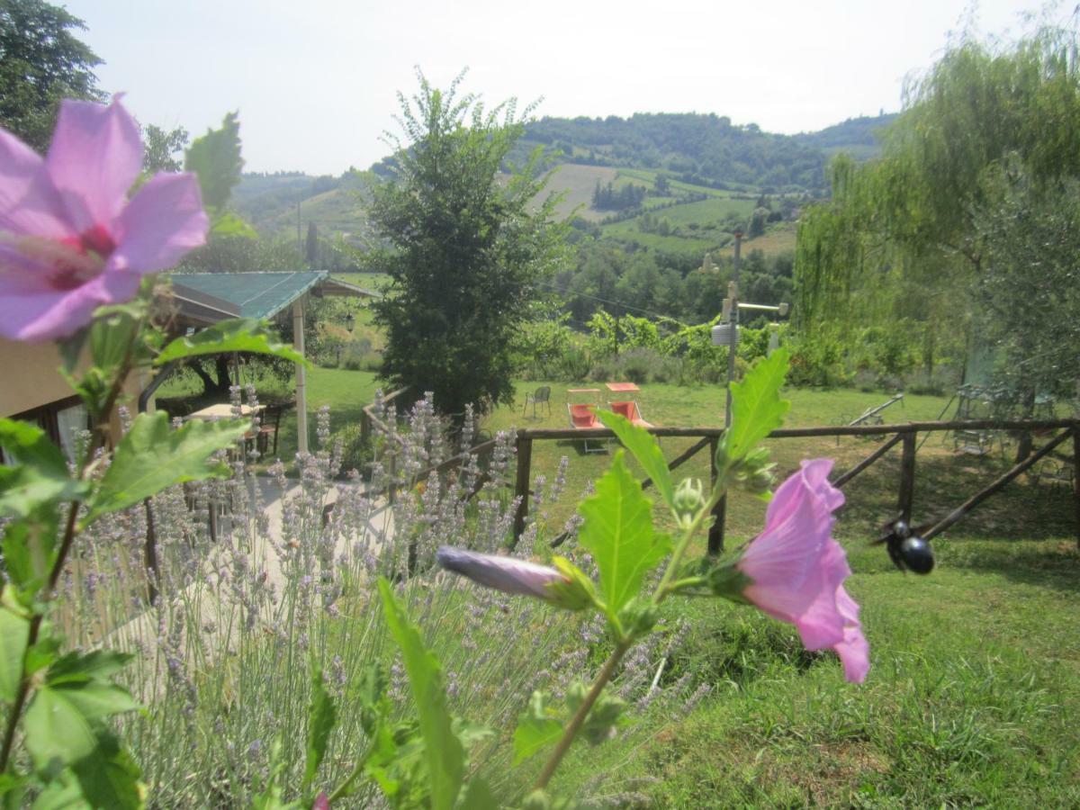 Le Spighe Agriturismo เชซานา ภายนอก รูปภาพ