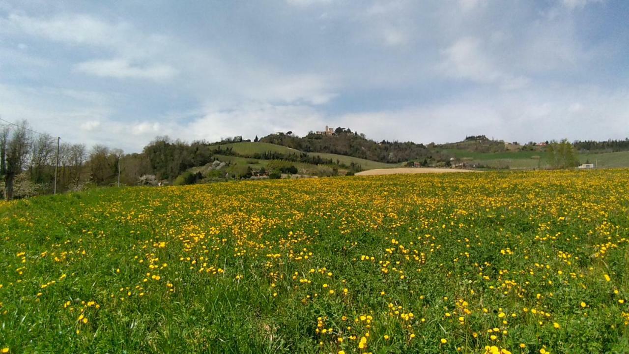 Le Spighe Agriturismo เชซานา ภายนอก รูปภาพ