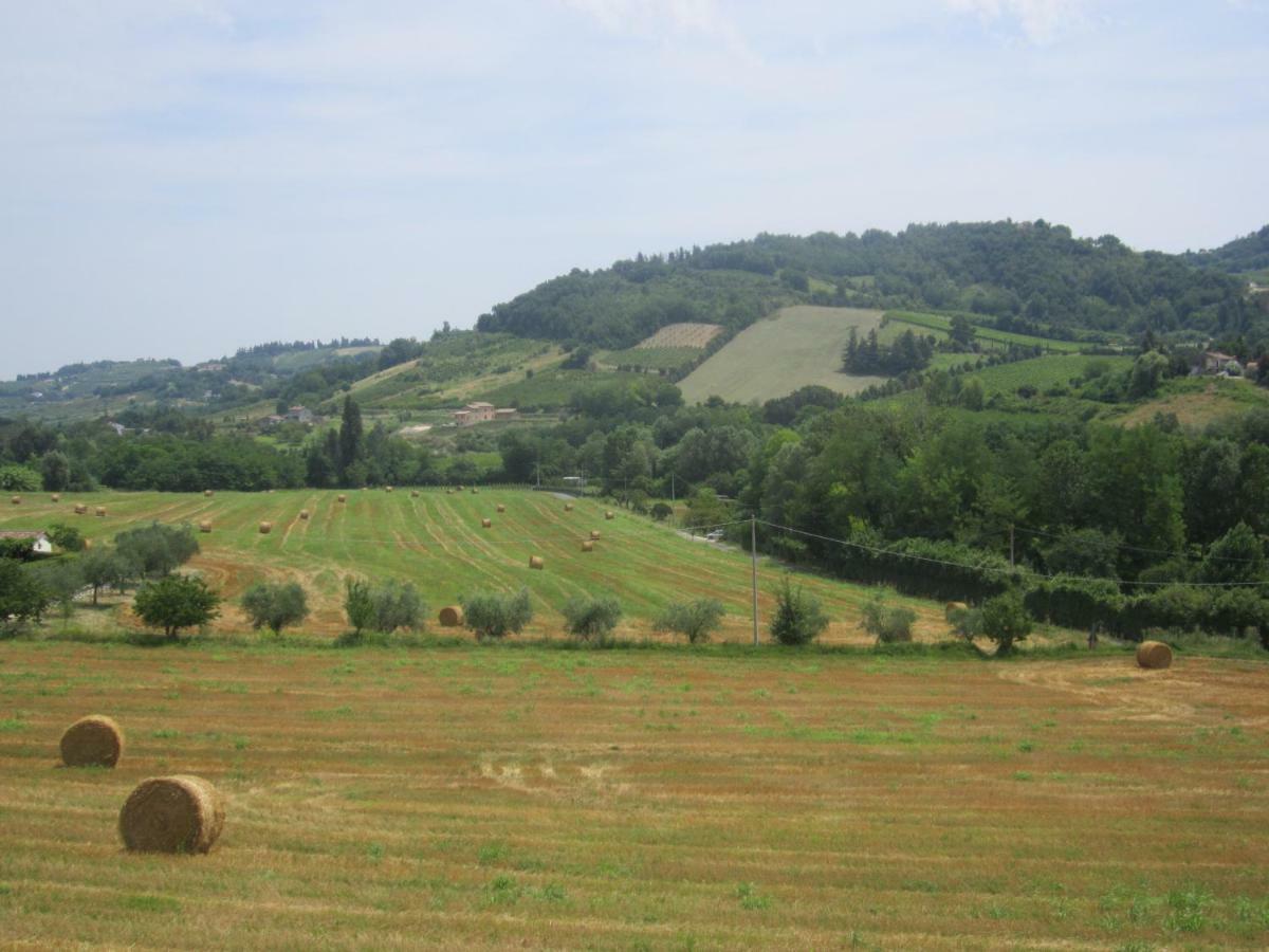 Le Spighe Agriturismo เชซานา ภายนอก รูปภาพ