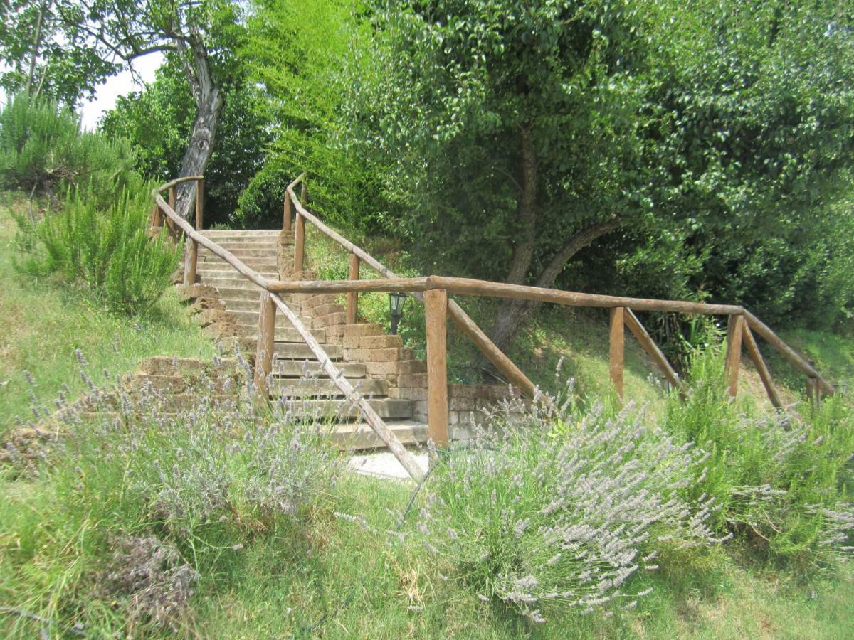 Le Spighe Agriturismo เชซานา ภายนอก รูปภาพ