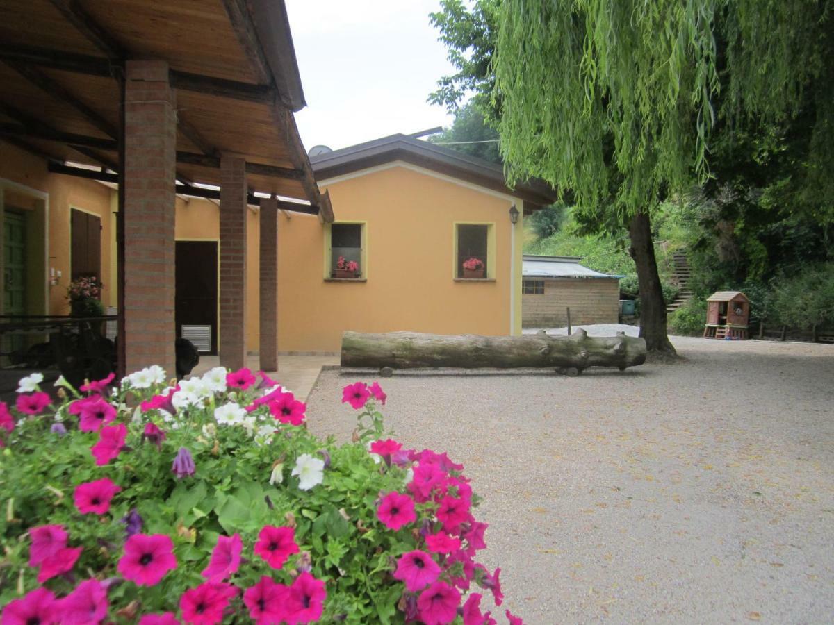 Le Spighe Agriturismo เชซานา ภายนอก รูปภาพ