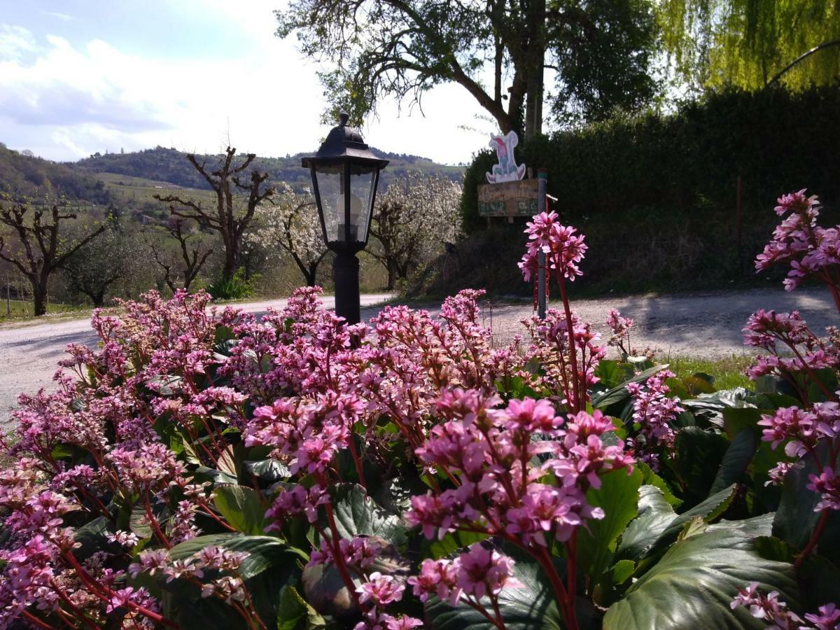 Le Spighe Agriturismo เชซานา ภายนอก รูปภาพ