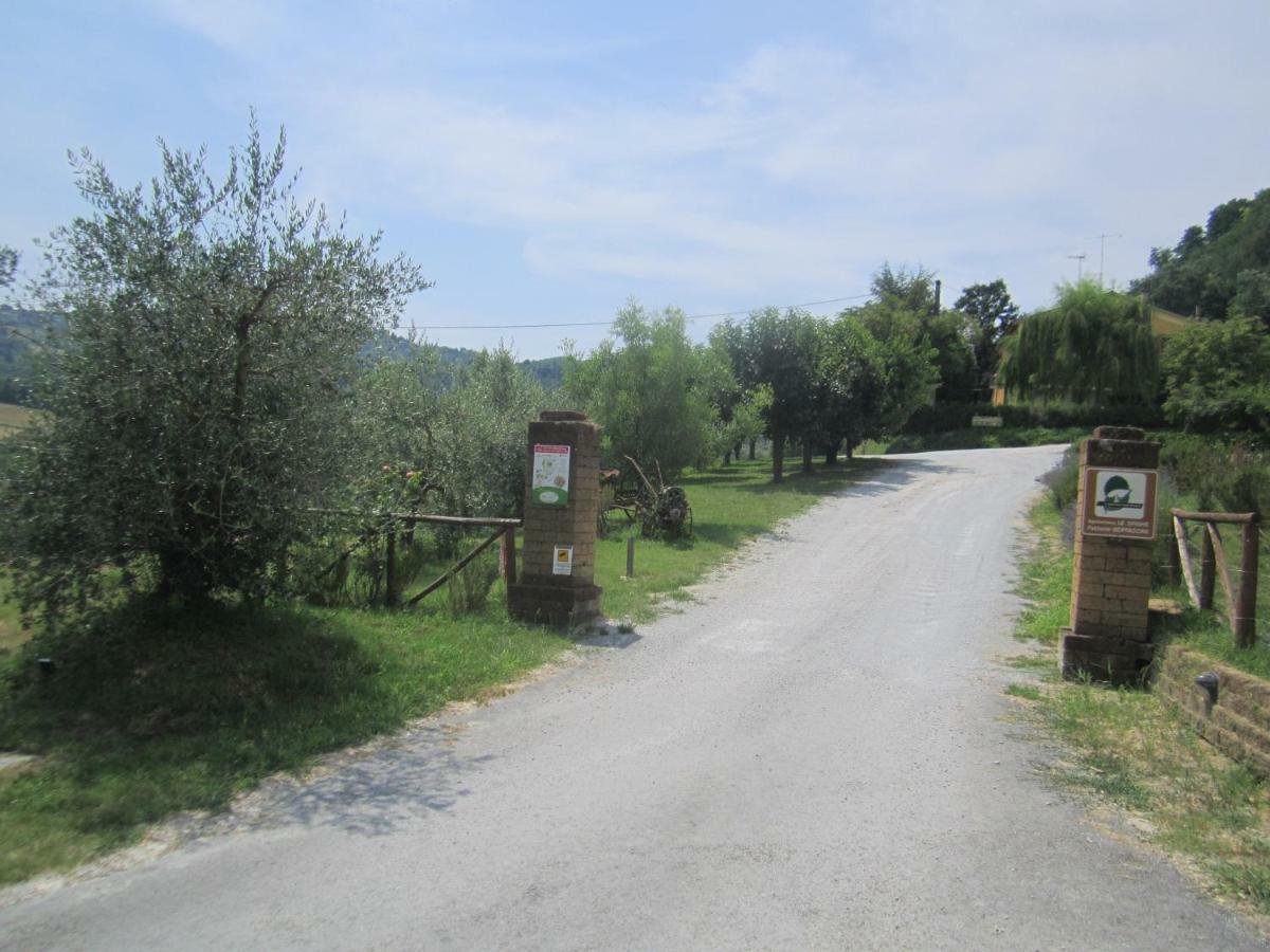 Le Spighe Agriturismo เชซานา ภายนอก รูปภาพ